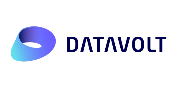 DATAVOLT partner logo